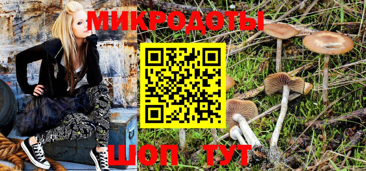 Псилоцибиновые грибы MAGIC MUSHROOMS  Вход с VPN  Кохма 